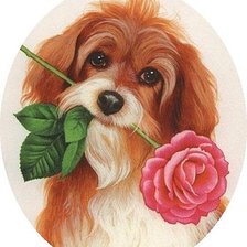 Схема вышивки «собачка с розой»