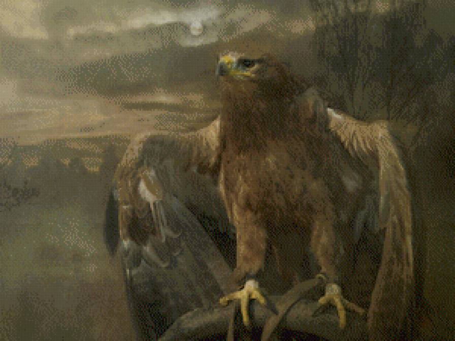 орёл - птицы, орел - предпросмотр