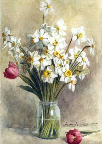 нарцис - оригинал