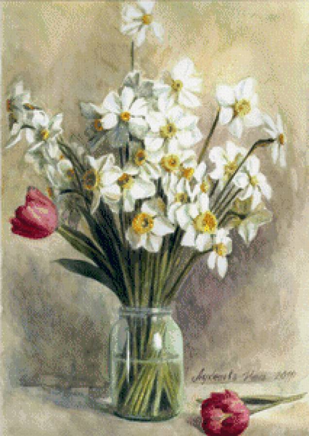 нарцис - предпросмотр