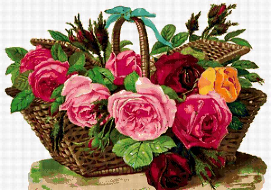 розы - цветы - предпросмотр