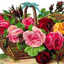 Схема вышивки «розы»