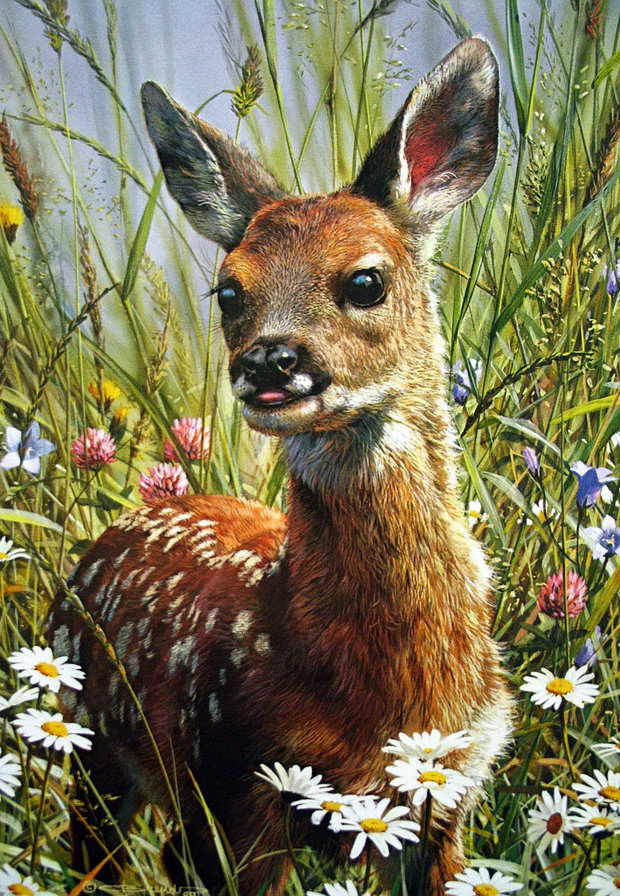 оленёнок - олень, животные - оригинал