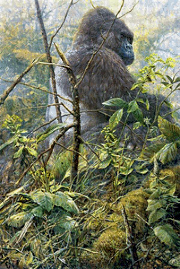 царь джунглей - животные, джунгли, обезьяна, горилла - предпросмотр