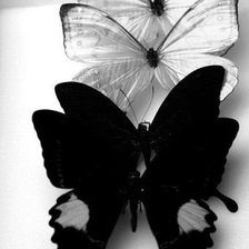 Схема вышивки «№730901»