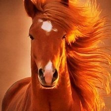 Схема вышивки «Конь»