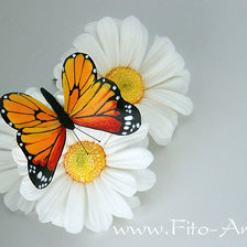 Схема вышивки «бабочка ромашки»