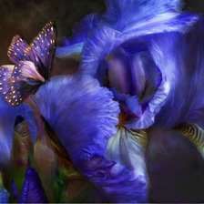 Схема вышивки «№731152»