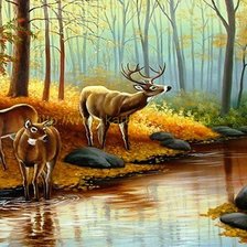 Схема вышивки «№731162»