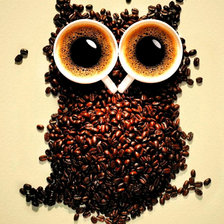 Схема вышивки «Сова из кофе»