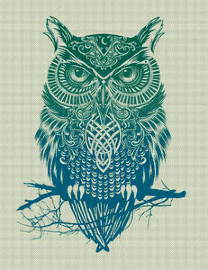 Сова - предпросмотр