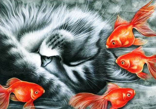Сон кота - кот, кошки, котята, котик, рыбки - оригинал