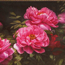 Схема вышивки «Пионы»