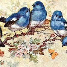 Схема вышивки «птахи»