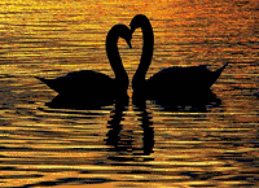 монохром - тень, свет, солнечный свет, лебеди, любовь, пара - предпросмотр