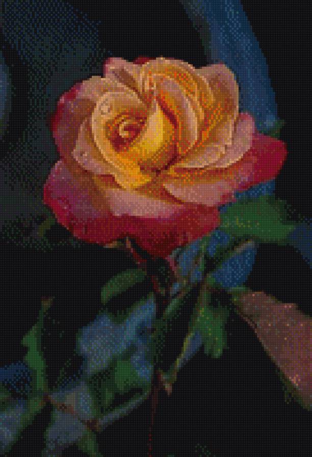 Роза - роза, вышивка крестиковышивка цветы - предпросмотр