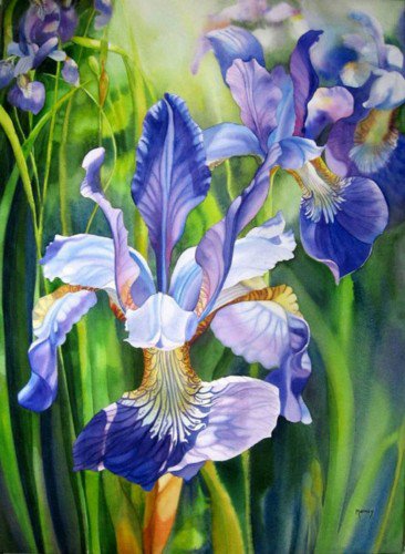 ирисы - цветы - оригинал