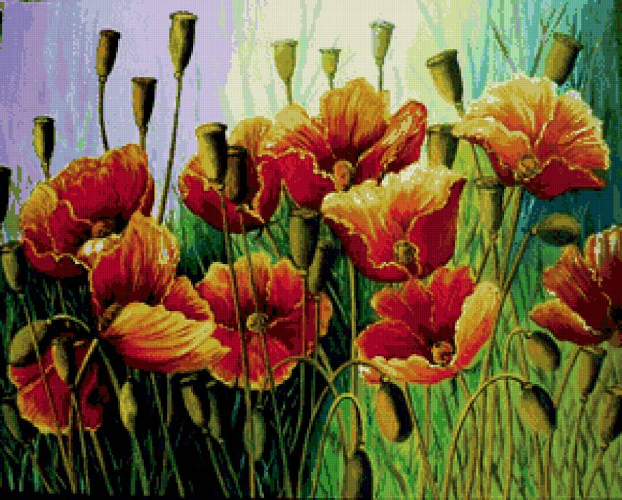 картина маки - цветы - предпросмотр