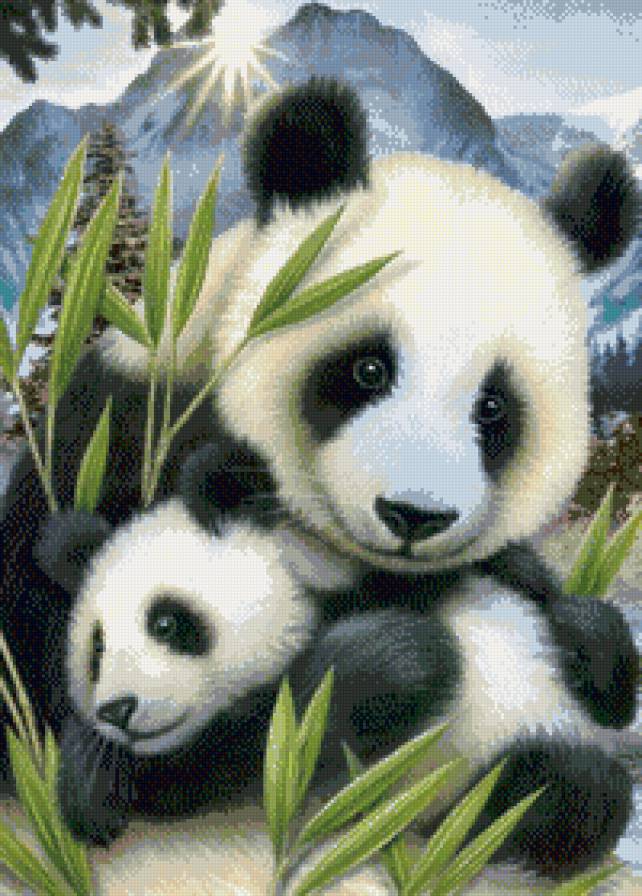 панда - дикие животные - предпросмотр