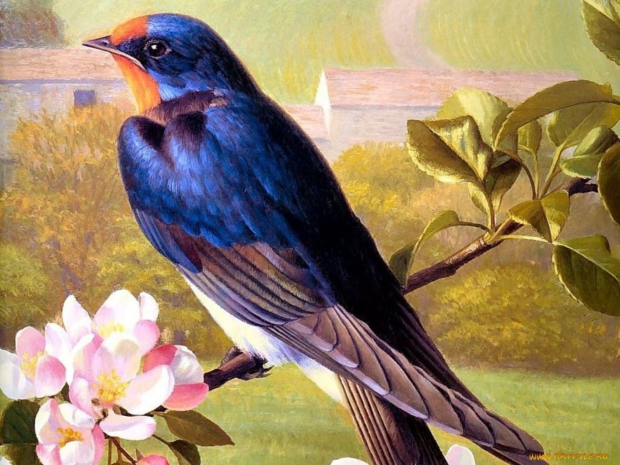 Птичка - природа, птицы - оригинал