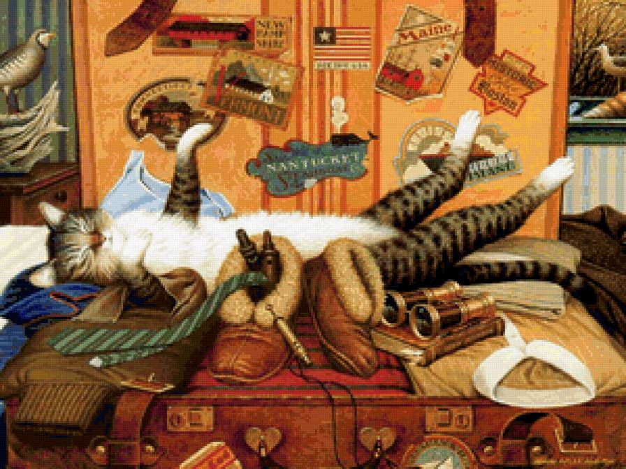 Кот-путешественник - кошки, животные - предпросмотр