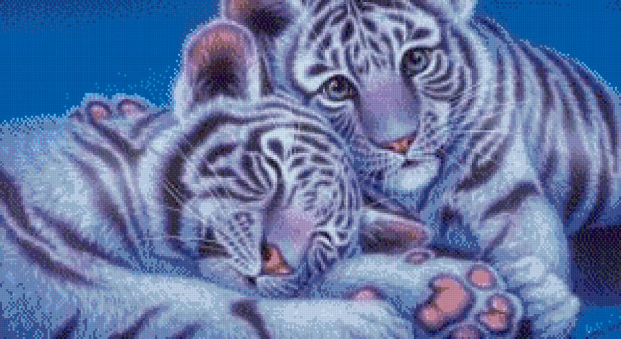 Тигр - животные, кошки - предпросмотр