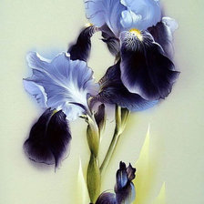 Схема вышивки «№731902»