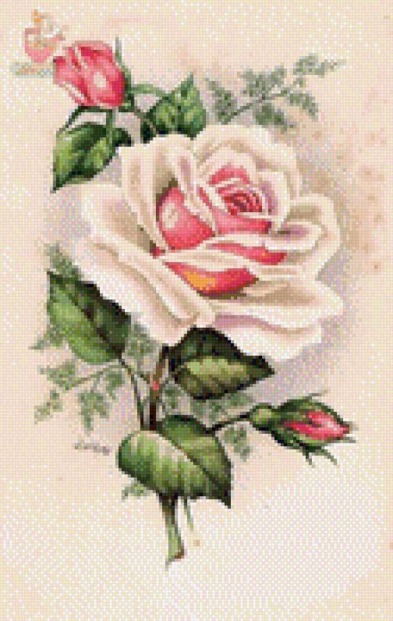 №731913 - предпросмотр