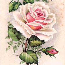 Схема вышивки «№731913»