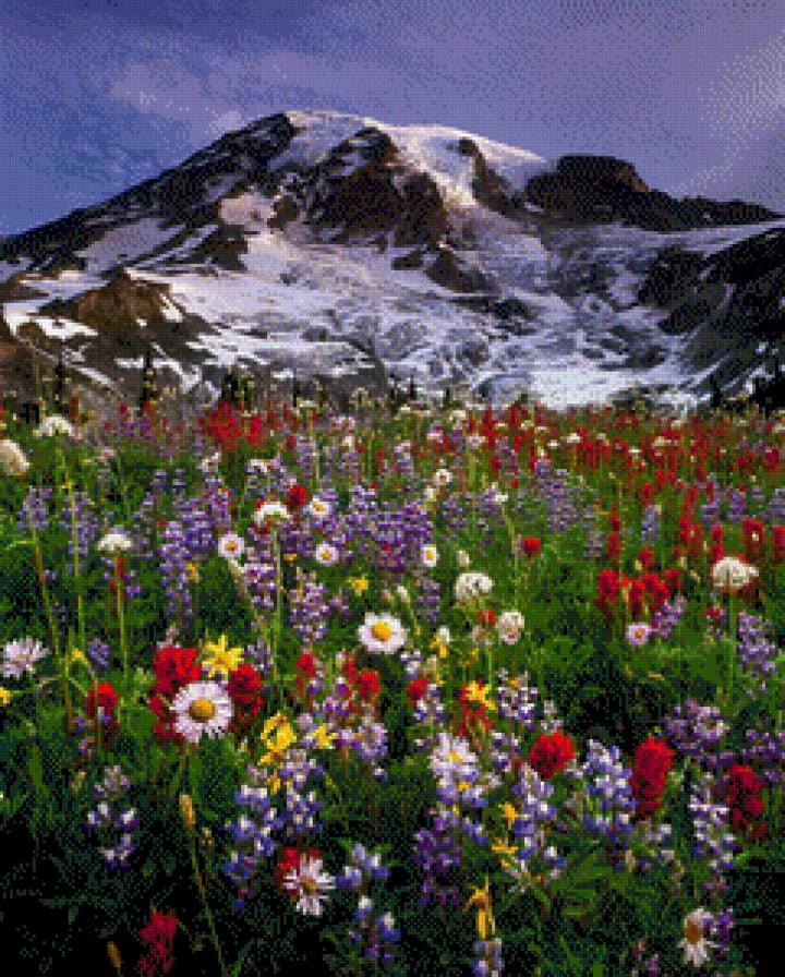 У подножия горы - цветы, луг, снег, горы - предпросмотр