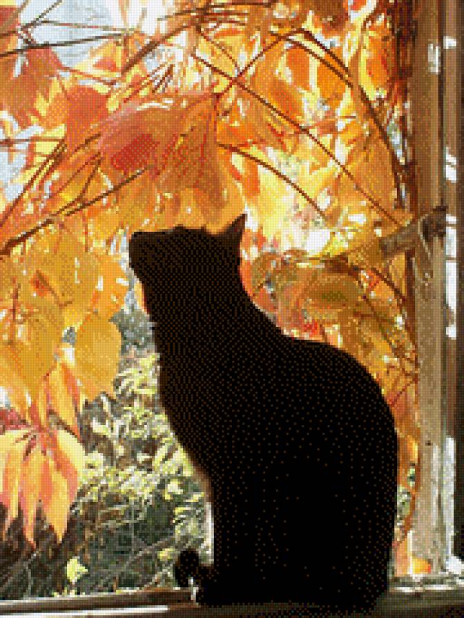 Осенний кот - животные, коты - предпросмотр