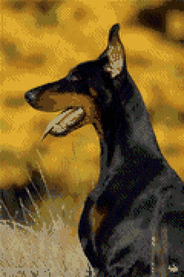 собака - животные - предпросмотр