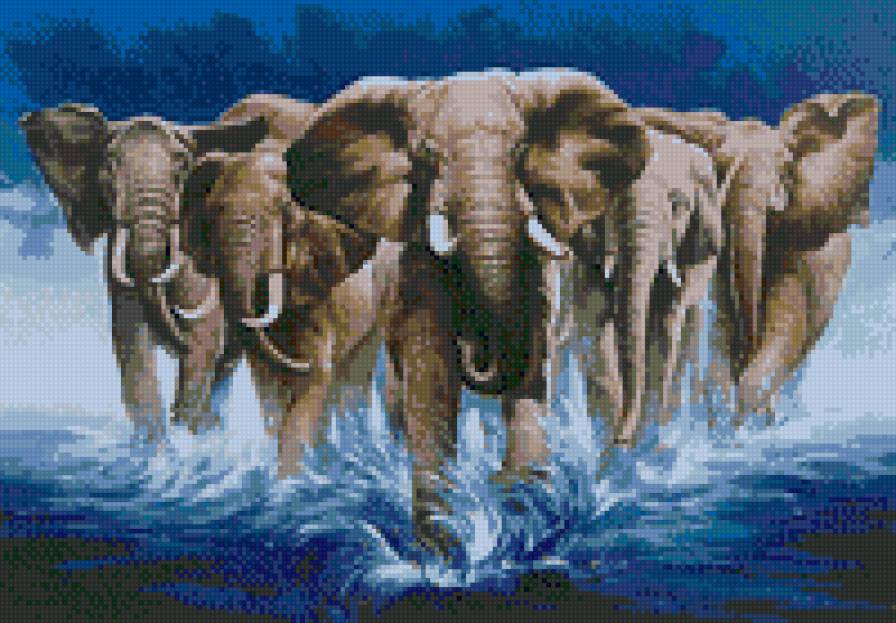 слоны - слоны. животные .африка - предпросмотр