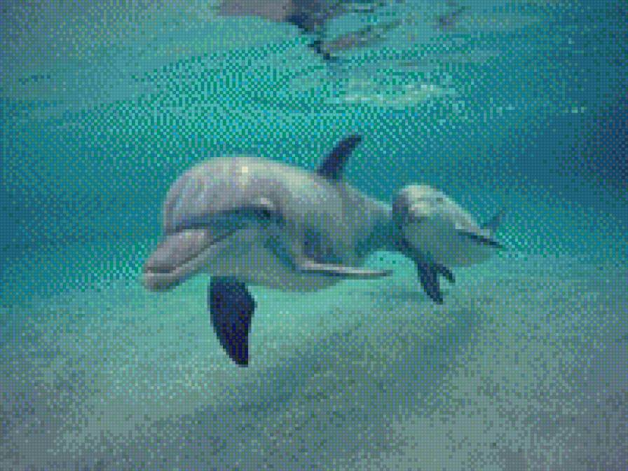 №732229 - предпросмотр