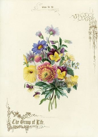 №732294 - оригинал