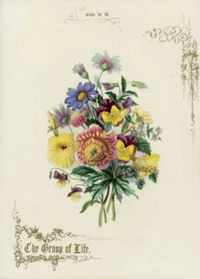 №732294 - предпросмотр