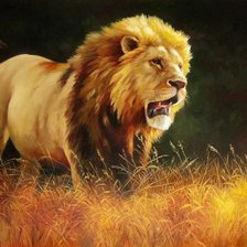 Схема вышивки «Царь зверей»