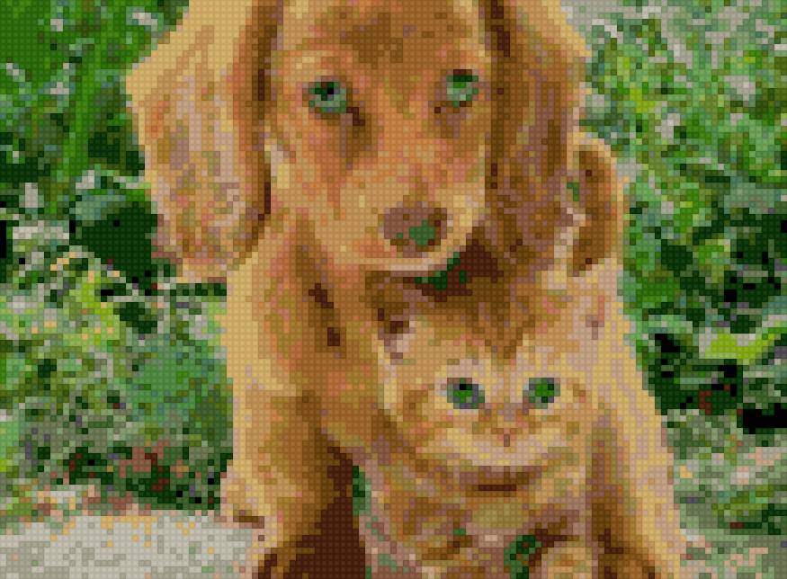 малыши - животные.кот. собака - предпросмотр