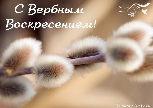 №732825 - оригинал