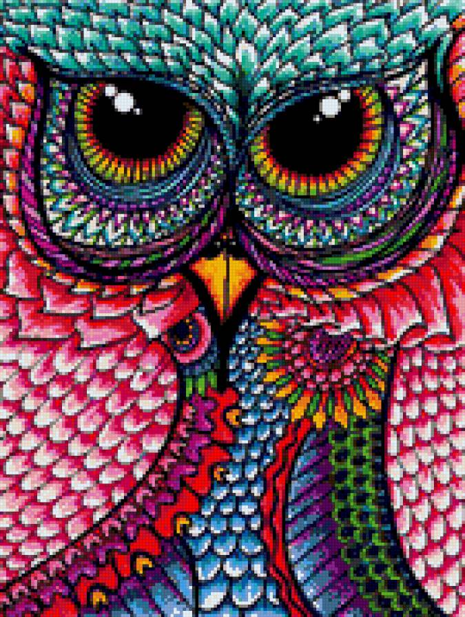 BUHO - предпросмотр