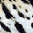 Предпросмотр схемы вышивки «Ягуар» (№733097)