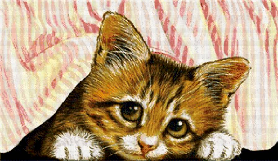 котенок - животные - предпросмотр