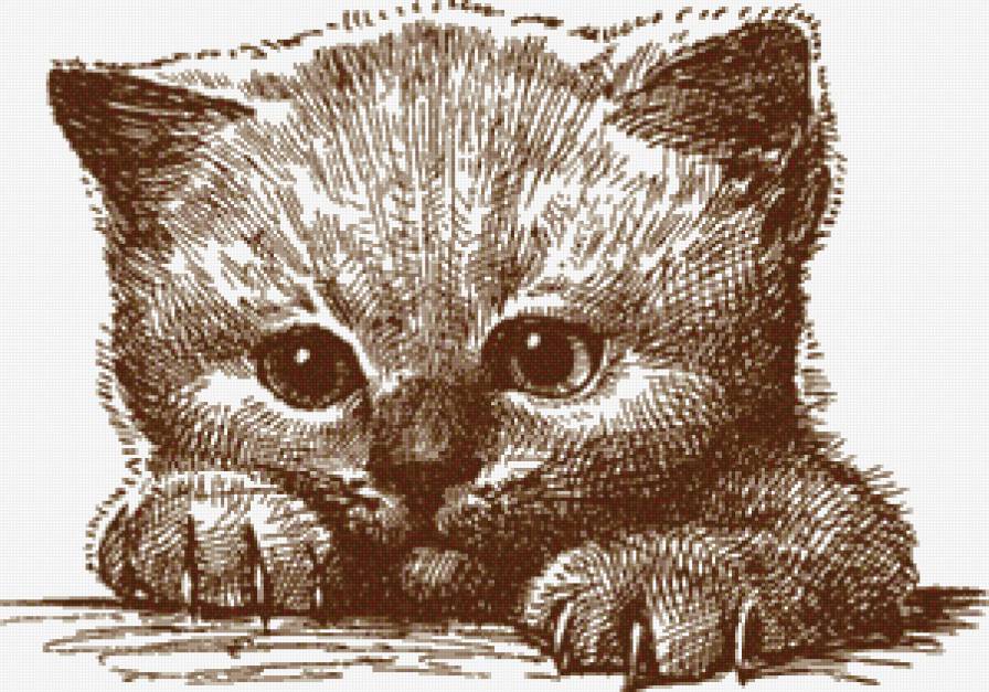 котенок - животные, кошки - предпросмотр