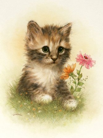 котенок - животные, природа, цветы - оригинал