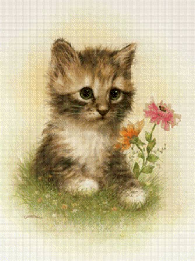 котенок - цветы, животные, природа - предпросмотр