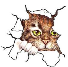 Кошка - животные - оригинал