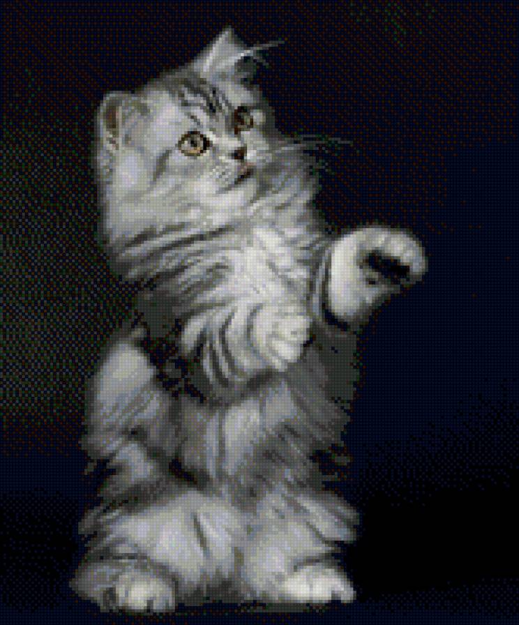 Киска - предпросмотр