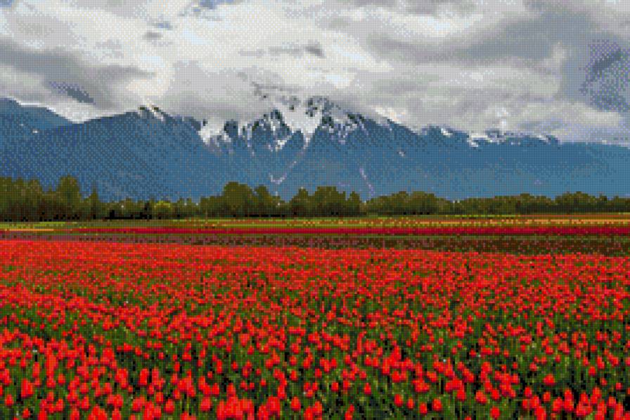 №733703 - предпросмотр