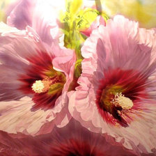 Схема вышивки «Серия Цветы»