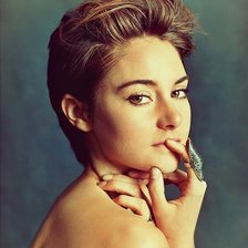 Схема вышивки «Шайлин Вудли»